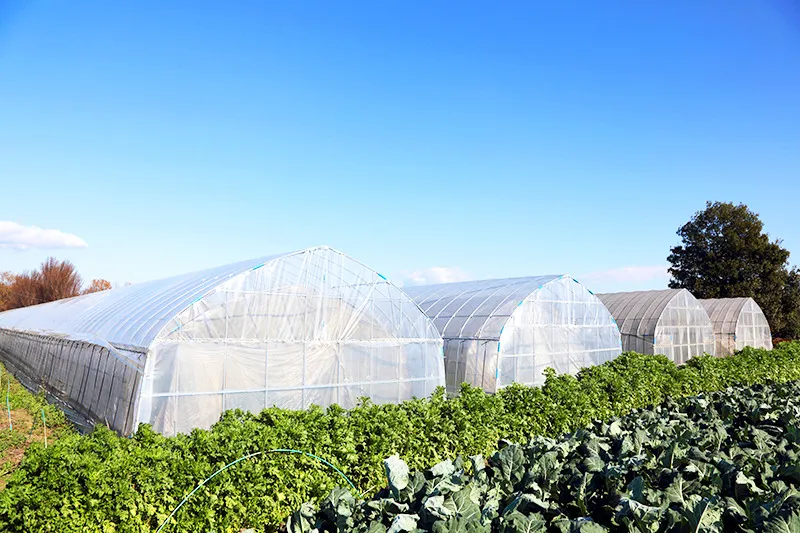 定番から珍しいものまでご自宅へお届け